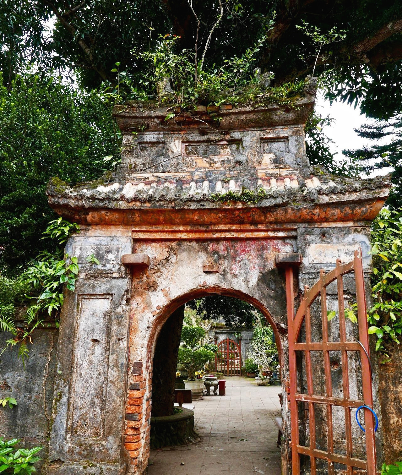 베트남 - 1 (8).jpg