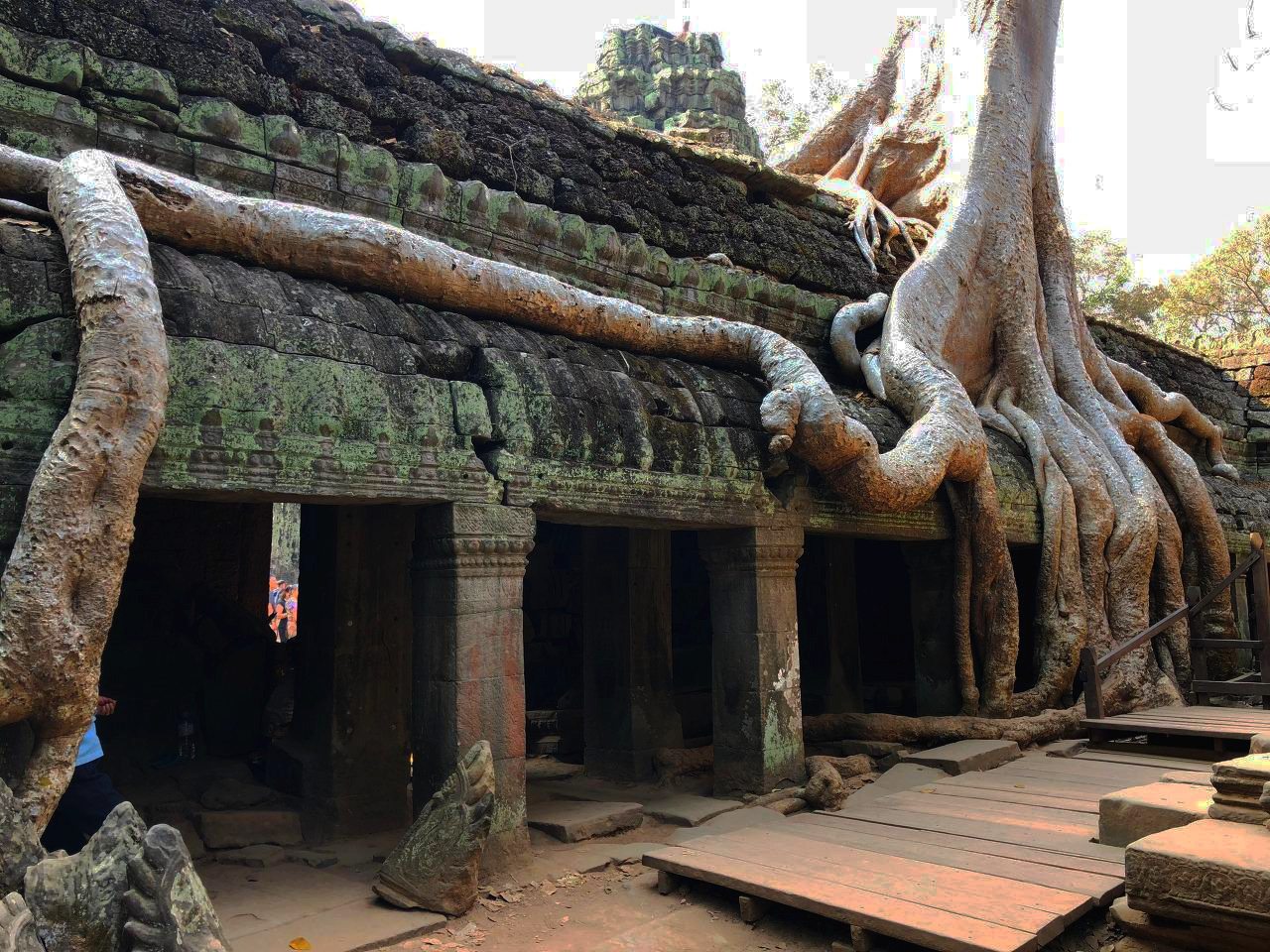 캄보디아 - 1 (37).jpg