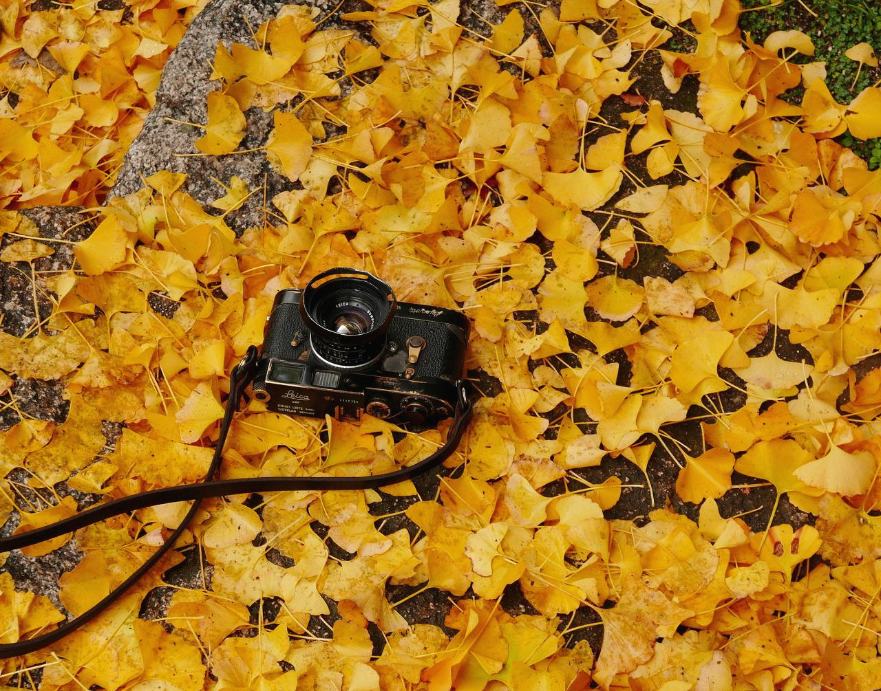 일본 - 1 (2).jpg