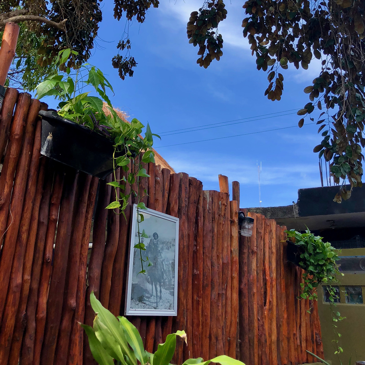 멕시코 - 1 (177).jpg