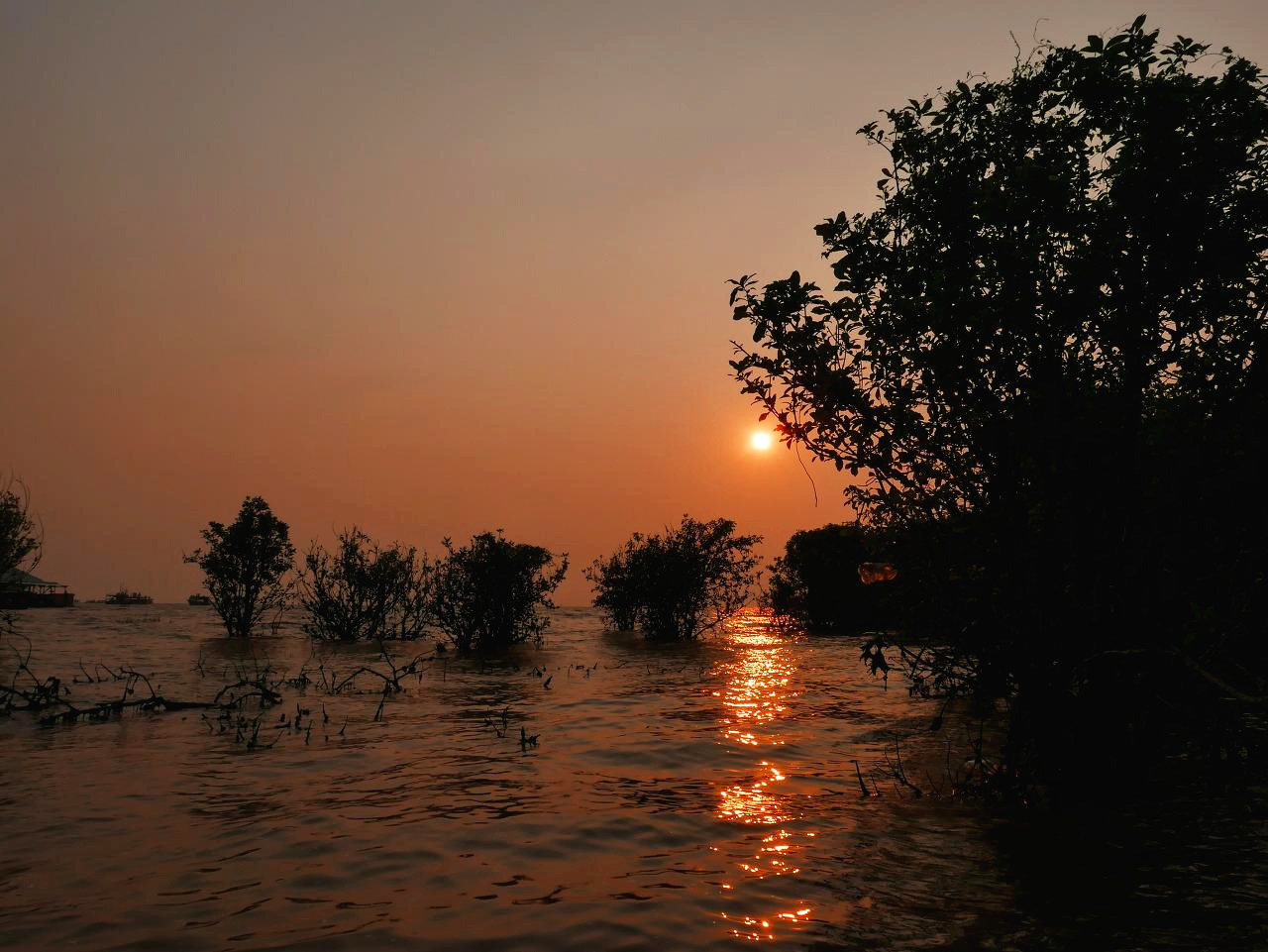 캄보디아 - 1 (10).jpg