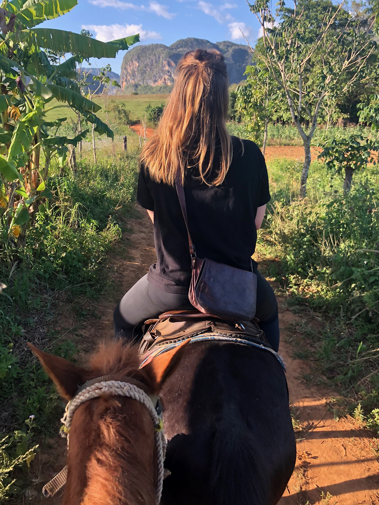 쿠바 - 1 (21).jpg