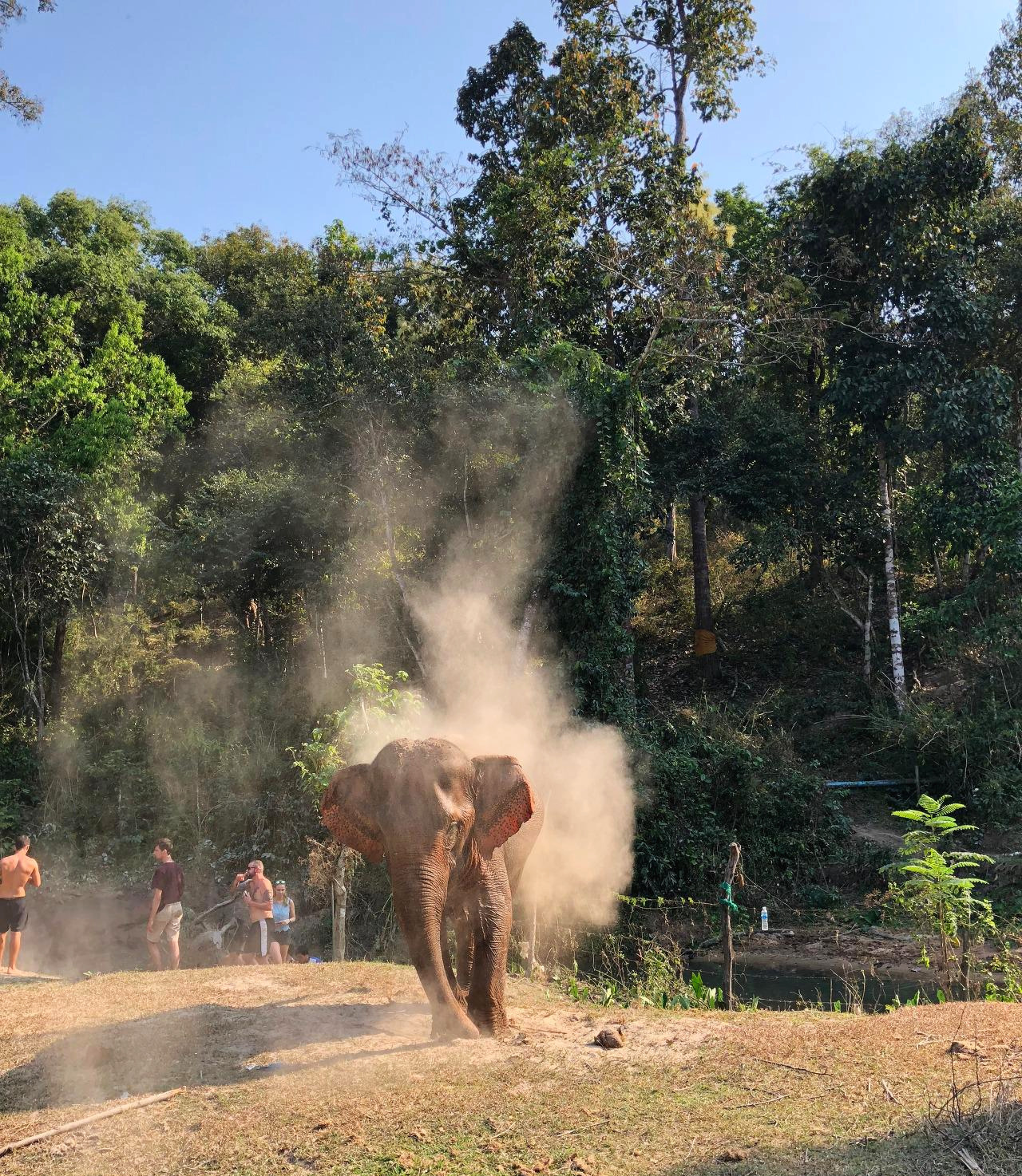 캄보디아 - 1 (52).jpg