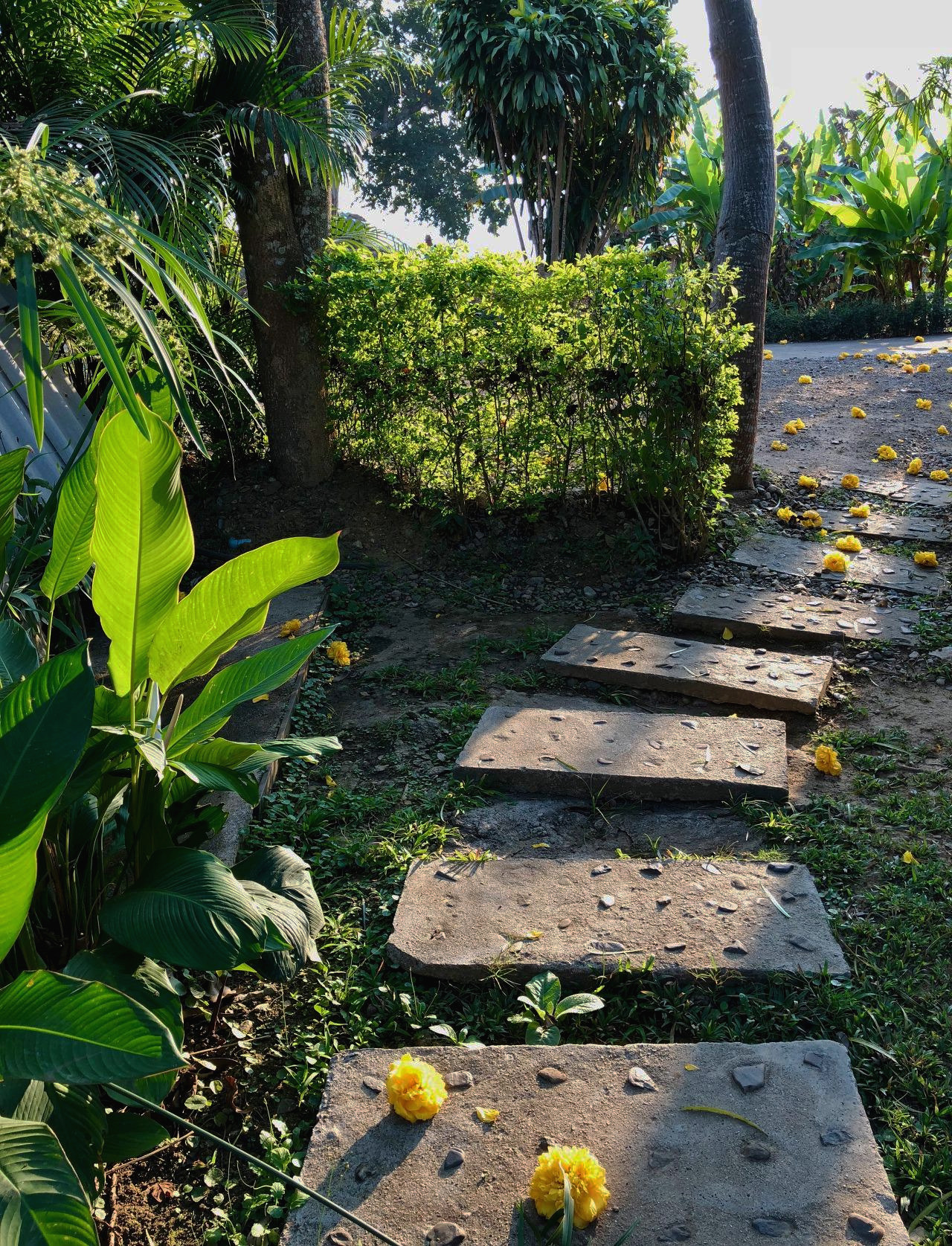 태국 - 1 (43).jpg