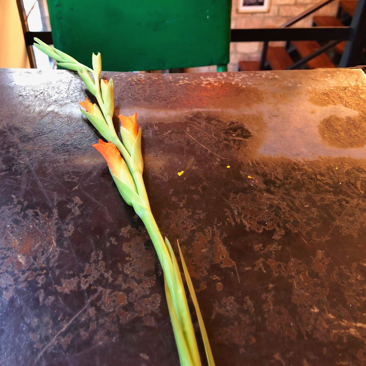 쿠바 - 1 (102).jpg