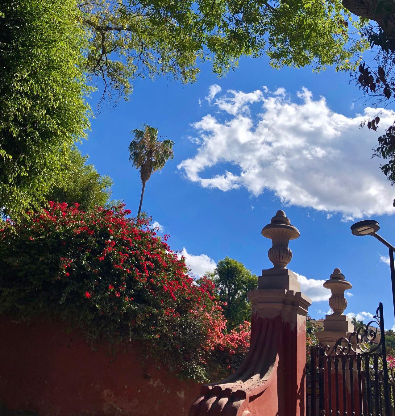 멕시코 - 1 (105).jpg