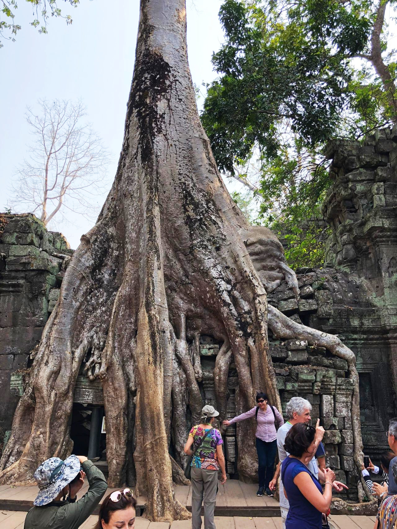 캄보디아 - 1 (31).jpg