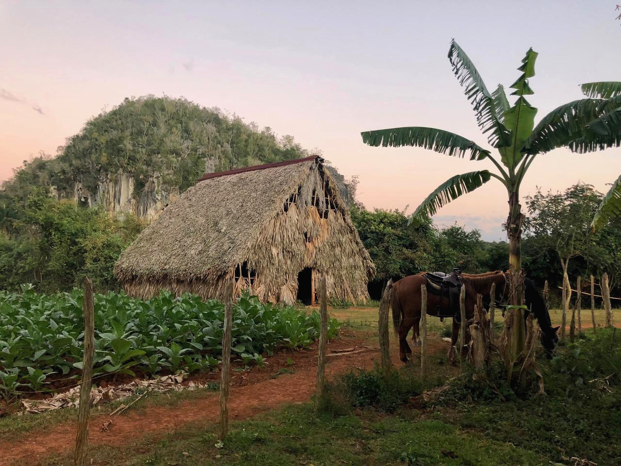 쿠바 - 1 (26).jpg