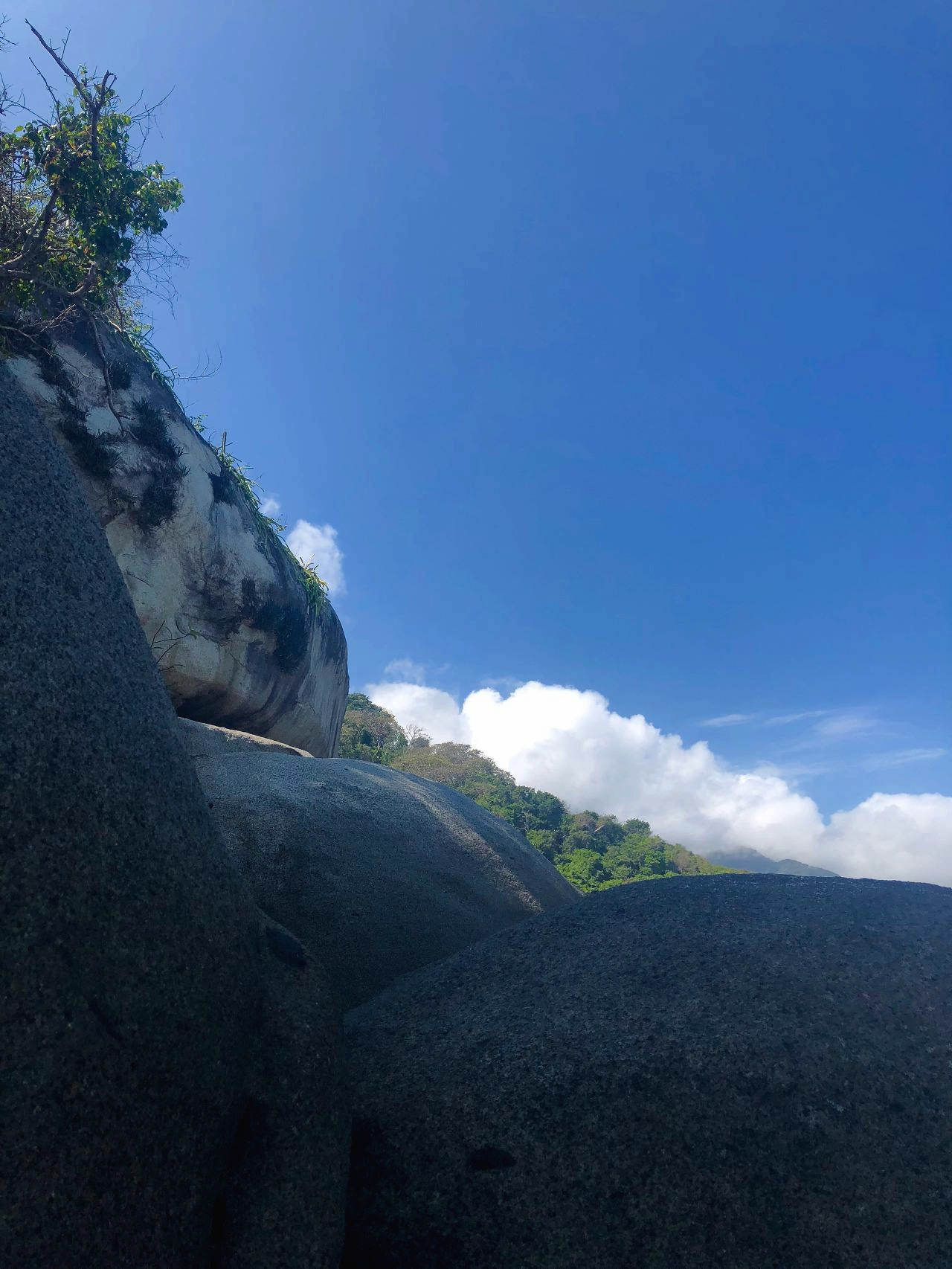 콜롬비아 - 1 (45).jpg