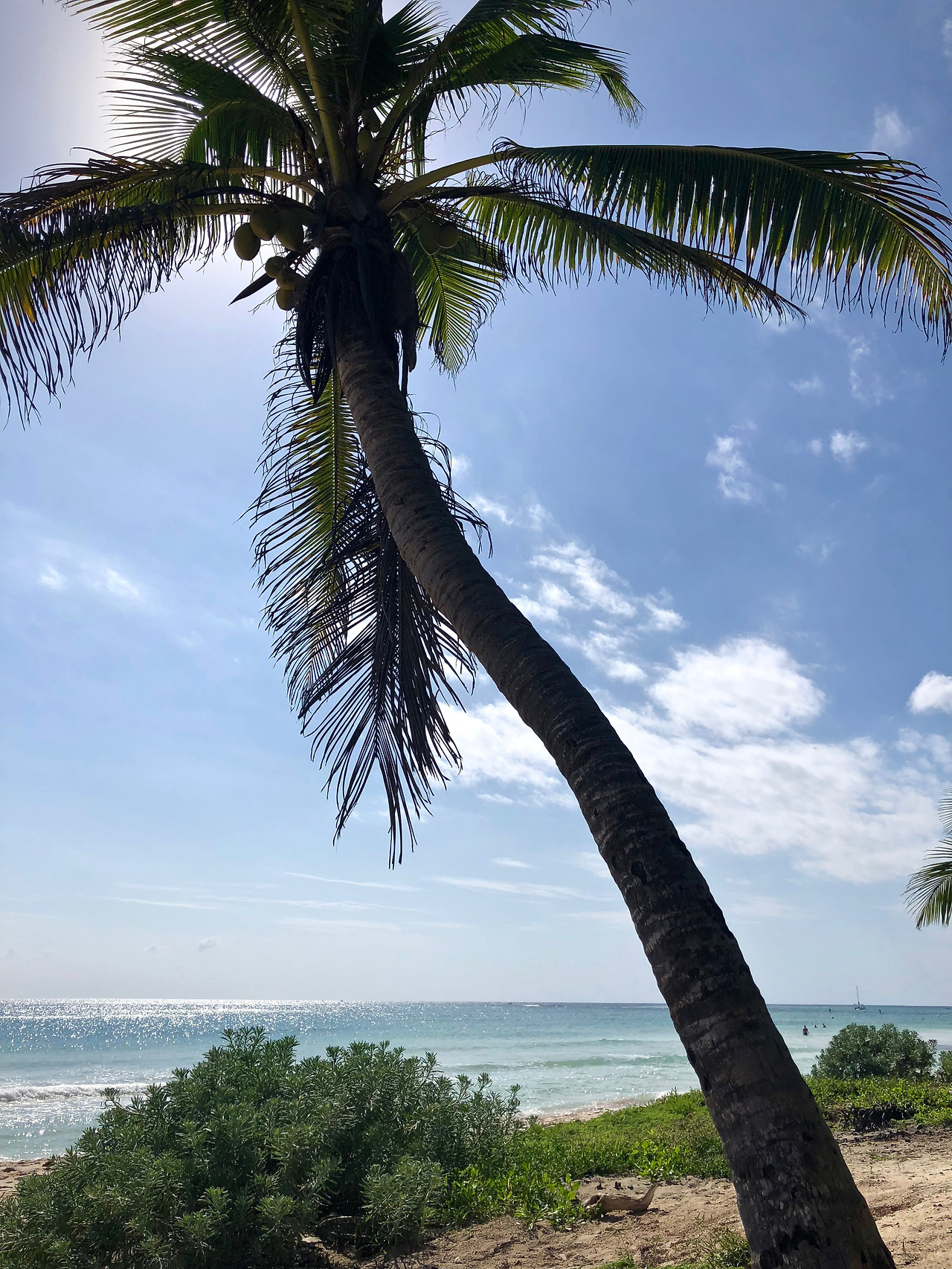 멕시코 - 1 (120).jpg