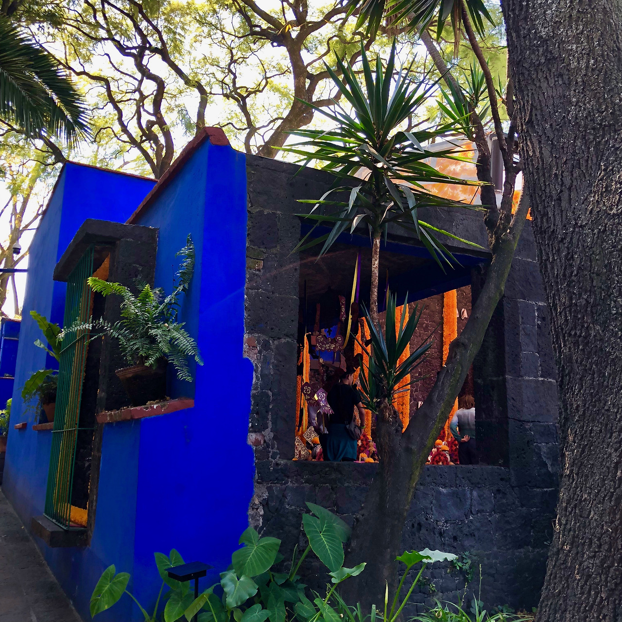 멕시코 - 1 (5).jpg