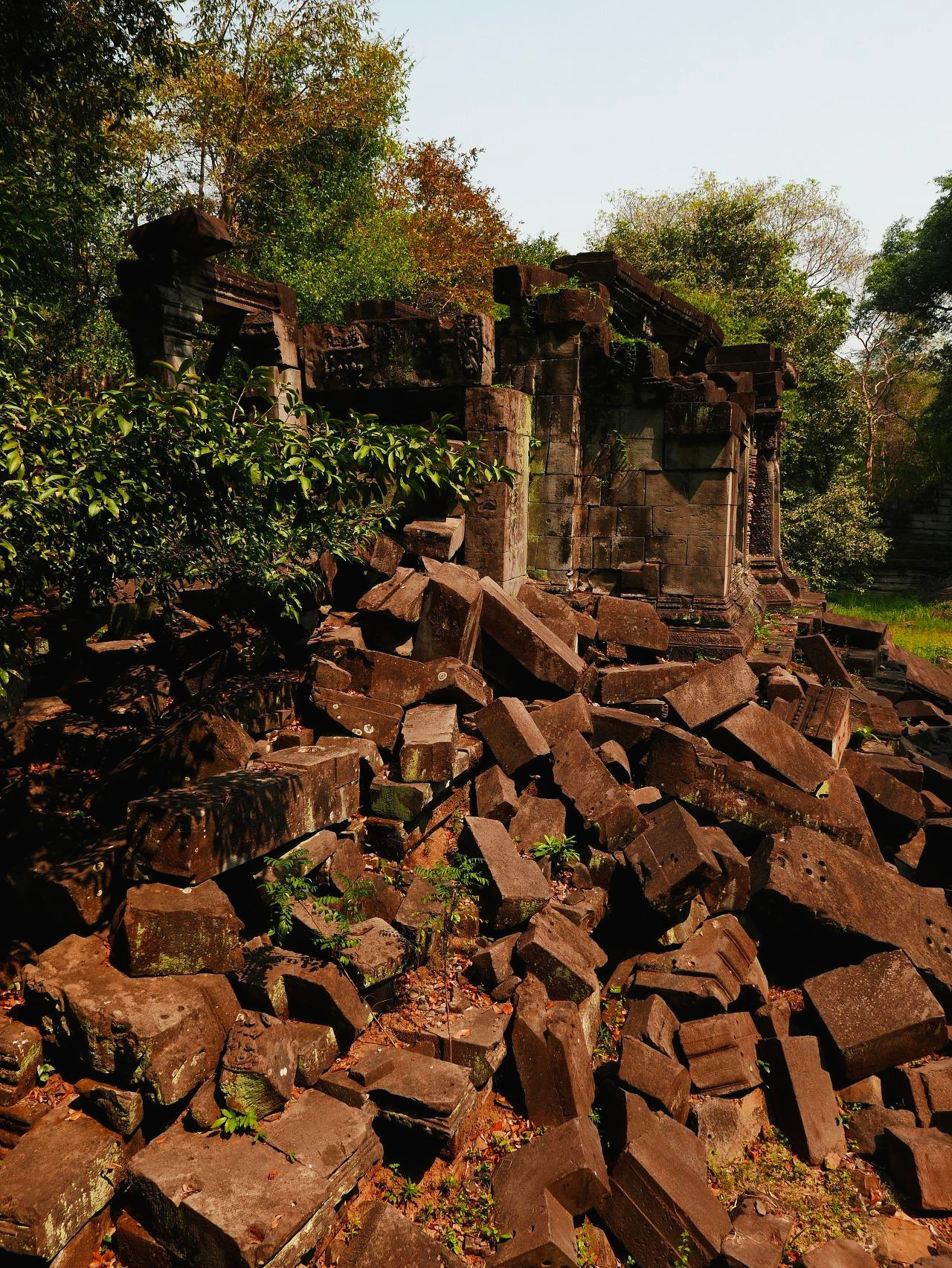 캄보디아 - 1 (3).jpg