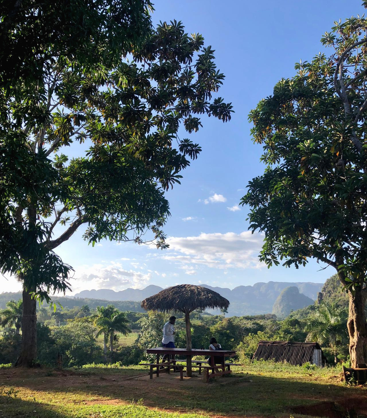 쿠바 - 1 (22).jpg