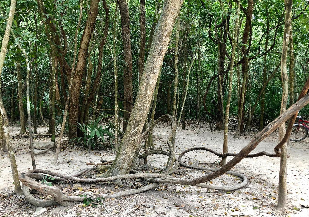 멕시코 - 1 (174).jpg