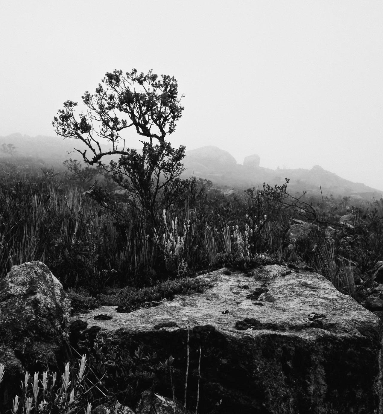 콜롬비아 - 1 (140).jpg