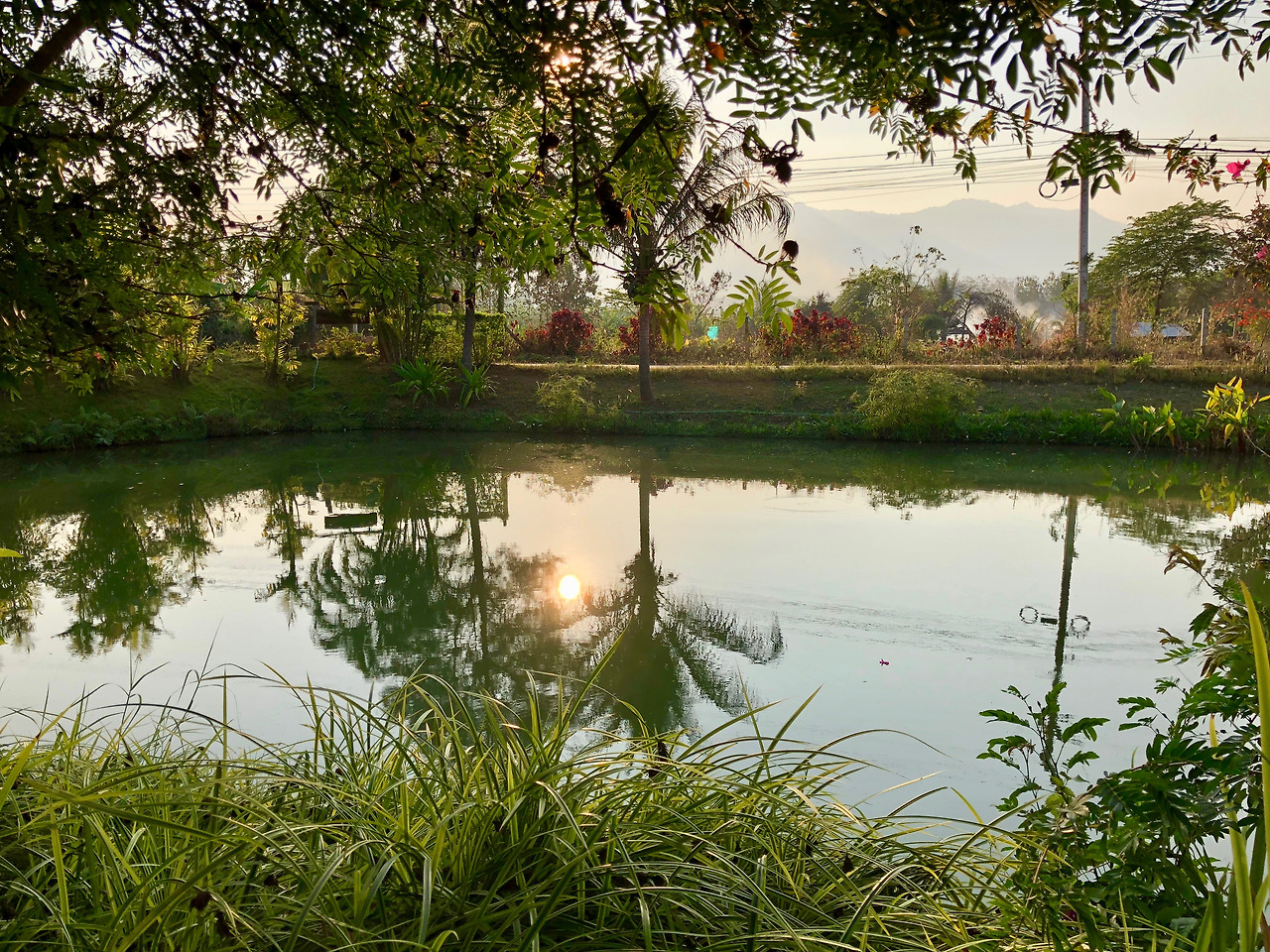 태국 - 1 (29).jpg