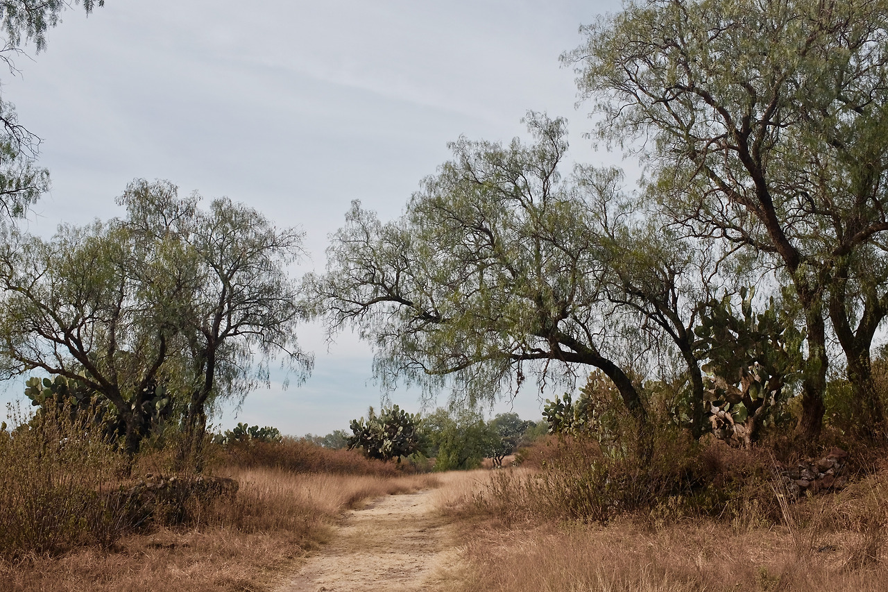 멕시코 - 1 (29).jpg