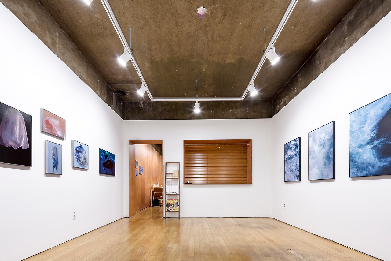 리플랫 1_이옥토 작가 전시 ⓒ 타별사진관.jpg