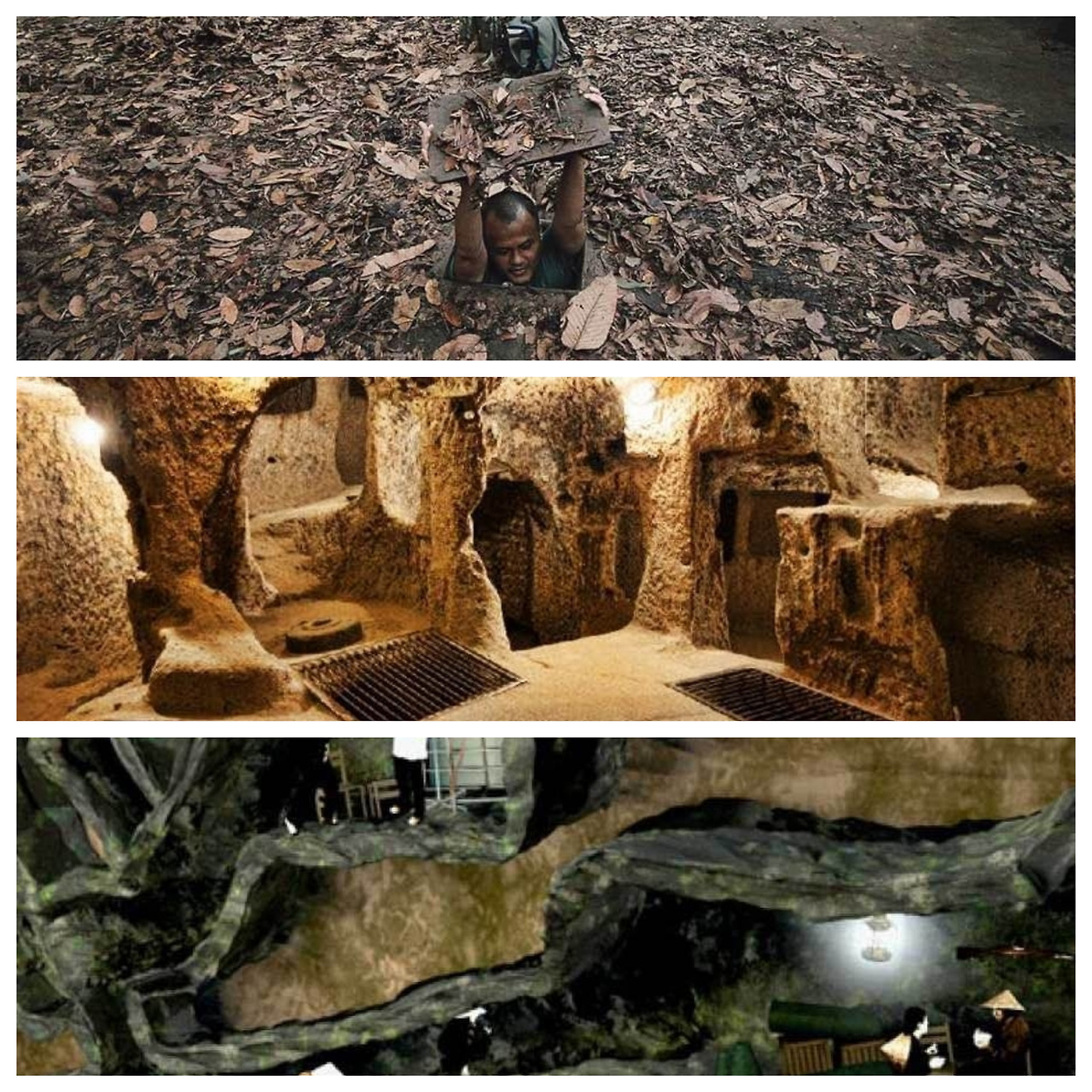 추치 (1).jpg