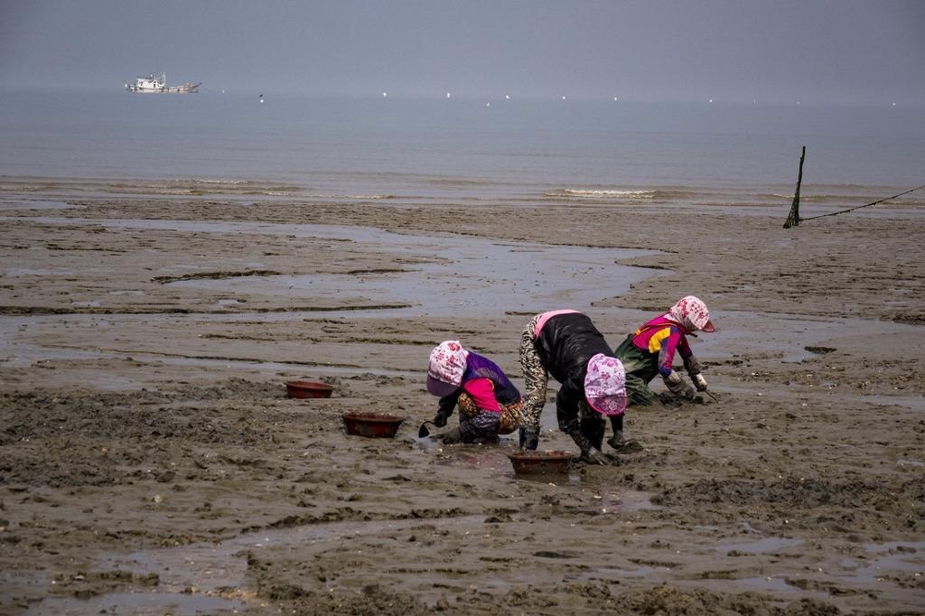 문갑도 여인들.jpg