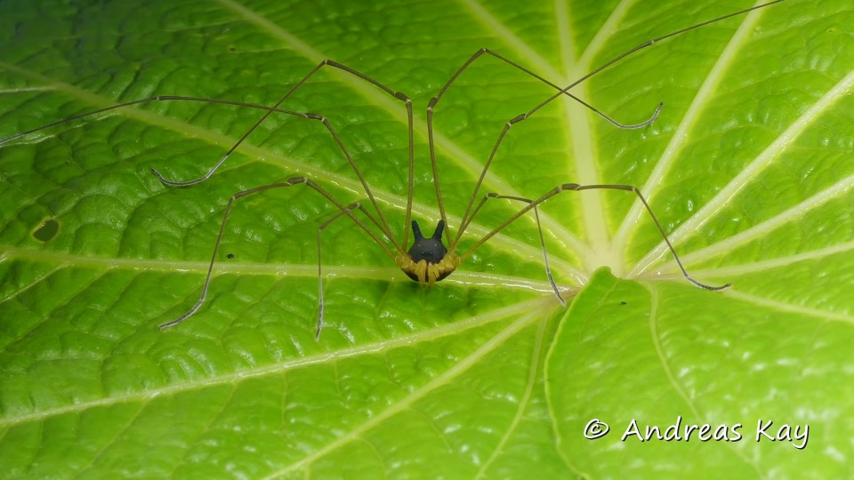 2382_7030_358 (1).jpg