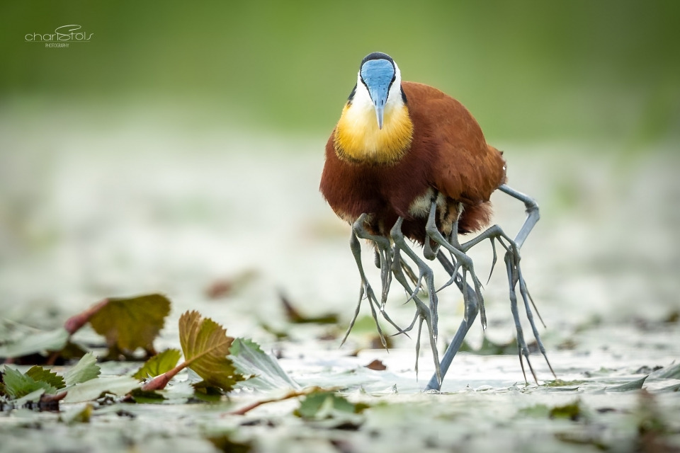 1654_4623_433 (1).jpg