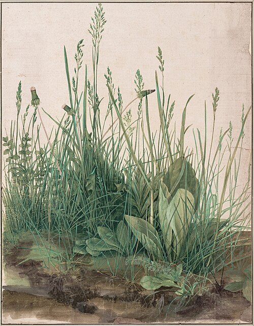 Albrecht_Dürer_-_The_Large_Piece_of_Turf,_1503_-_Google_Art_Project.jpg