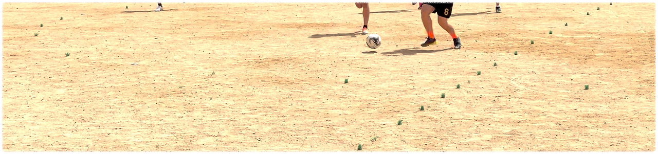 현재 프레임.jpg