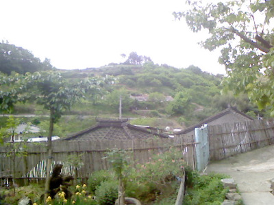 사진080513_7.jpg