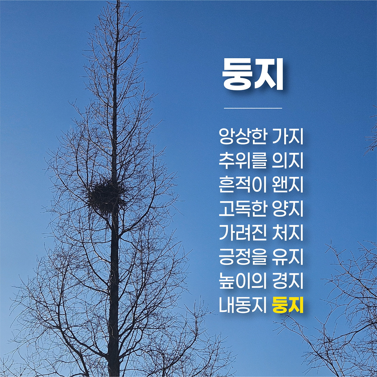 [꾸미기]둥지0.jpg