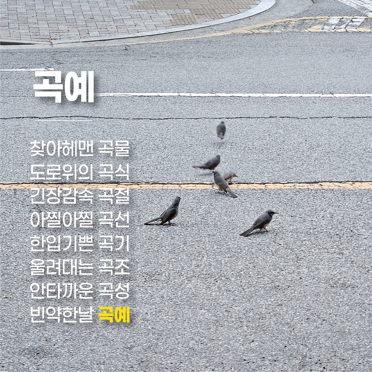 무제-11[꾸미기].jpg