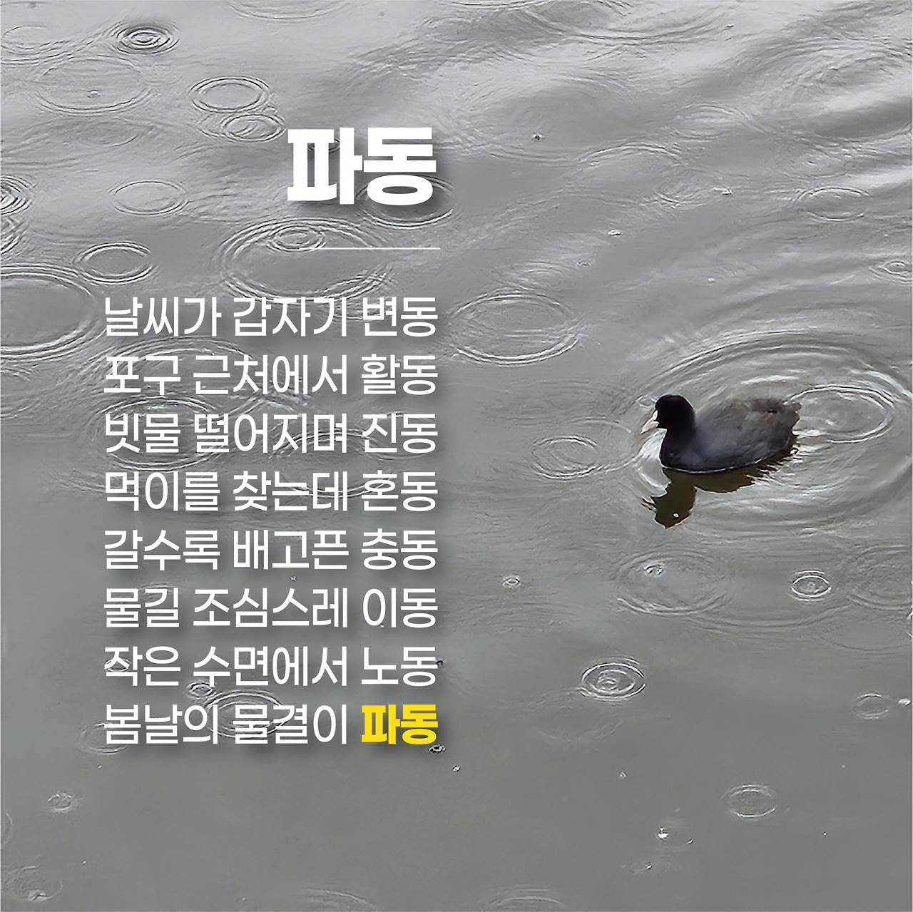 [꾸미기]무제-58.jpg