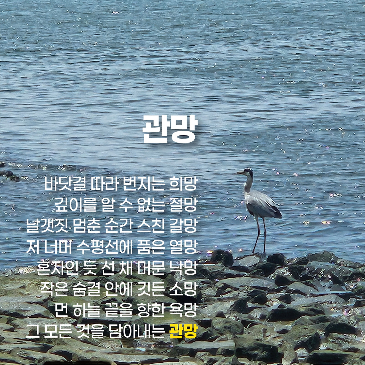 [꾸미기]무제-11.jpg