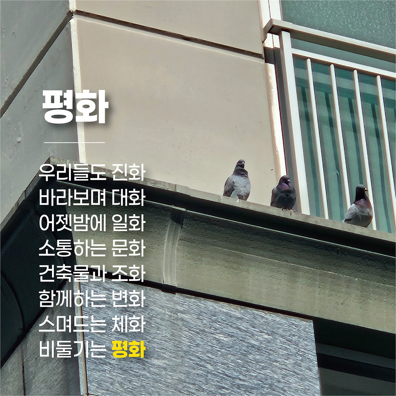 평화 (1).jpg