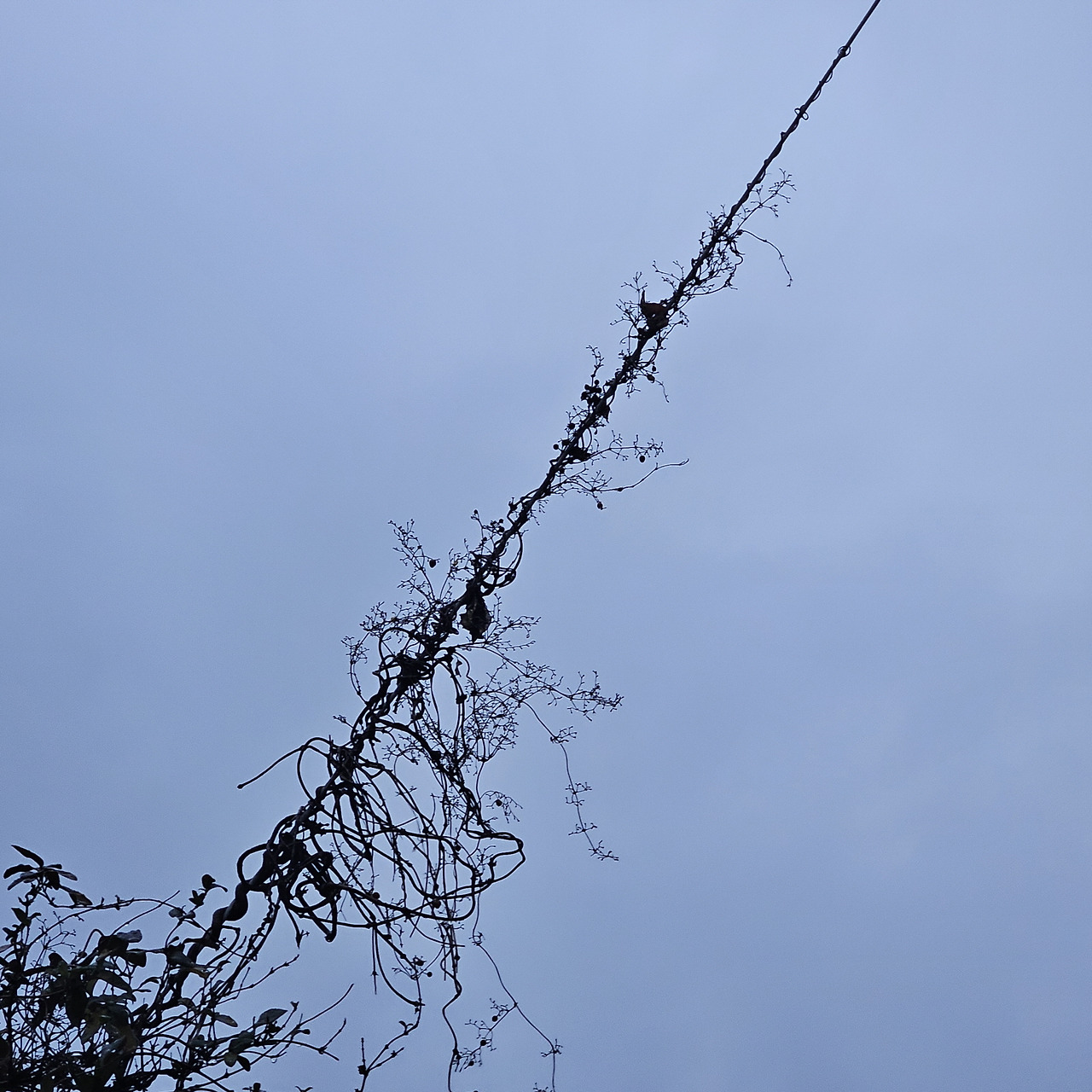 사선에서 (1).jpg