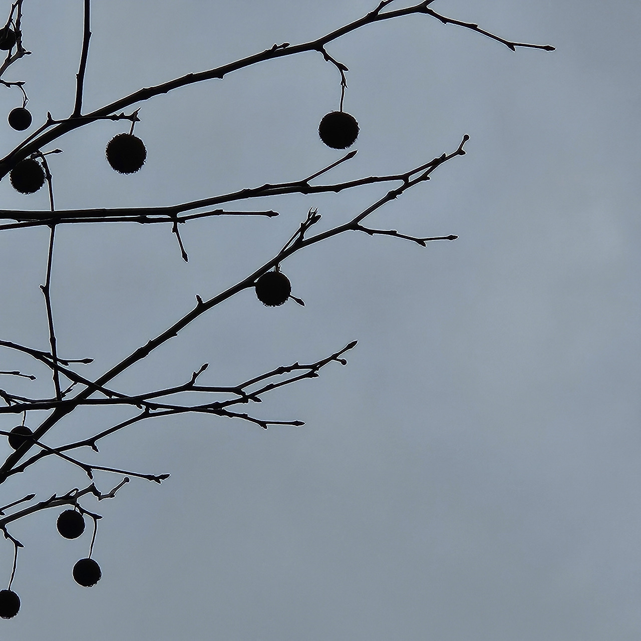 일상기록 (2).jpg