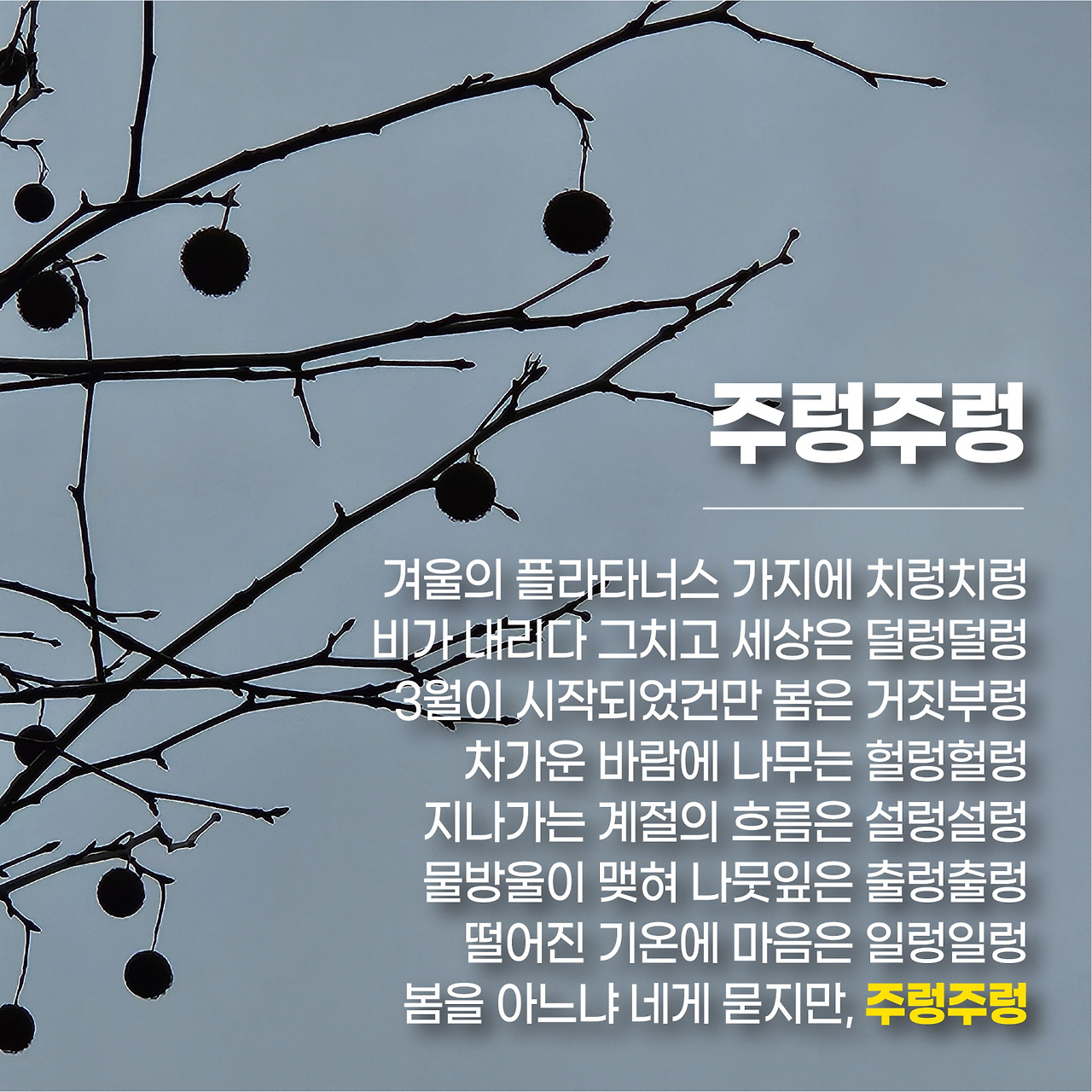 일상기록 (1).jpg