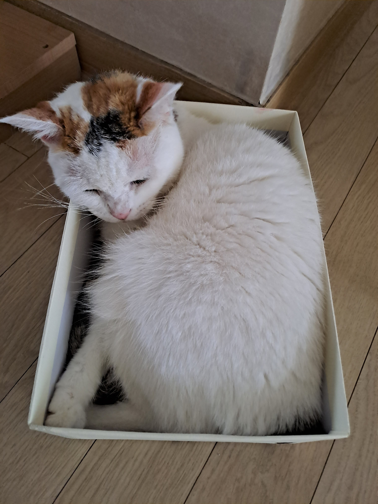 카지노 가입 쿠폰