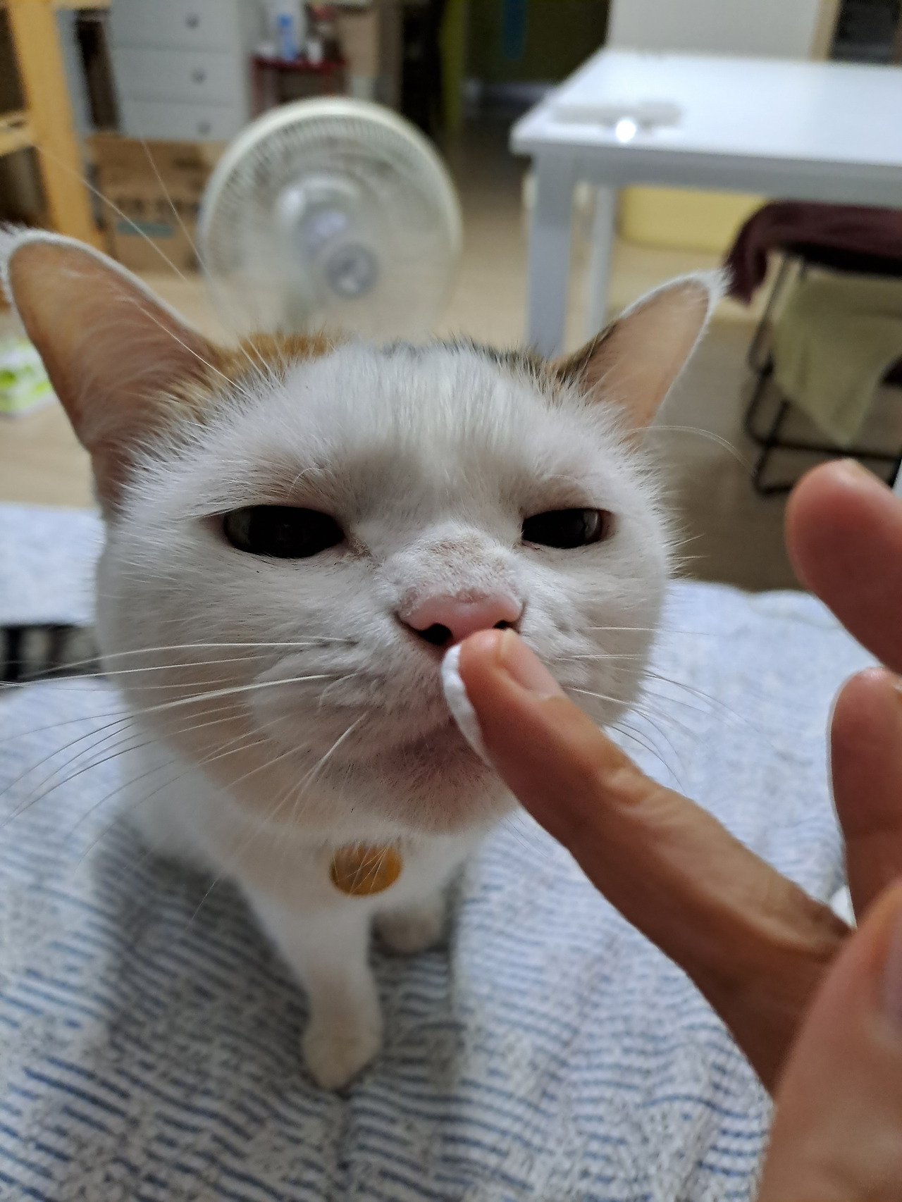 카지노 게임 사이트
