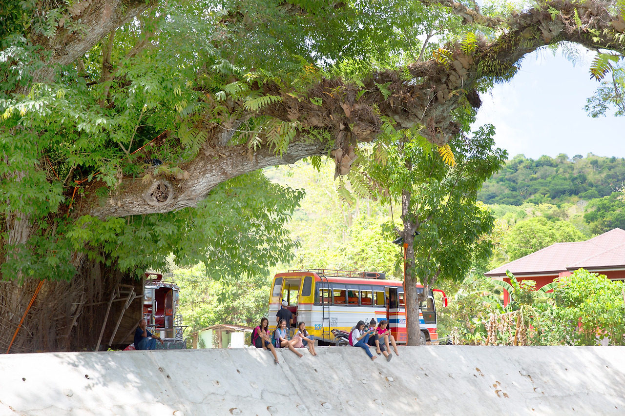 Open As Smart Object.jpg