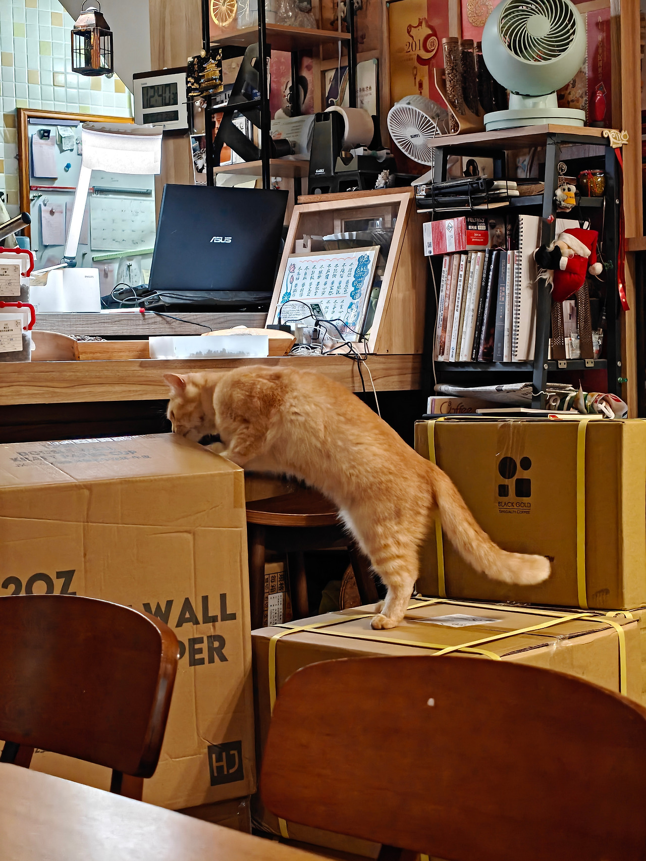 IMG20251210123856 (1).jpg