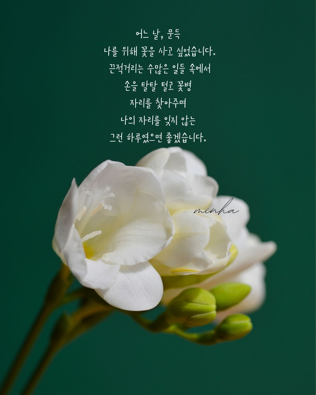 단락 텍스트 (1).jpg