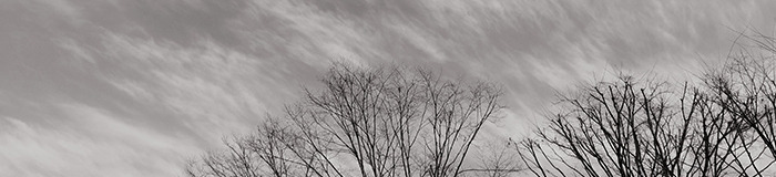 헤어질 결심09.jpg