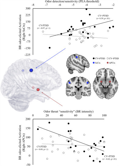 1-s2.0-S2213158217302322-gr4 (1).jpg
