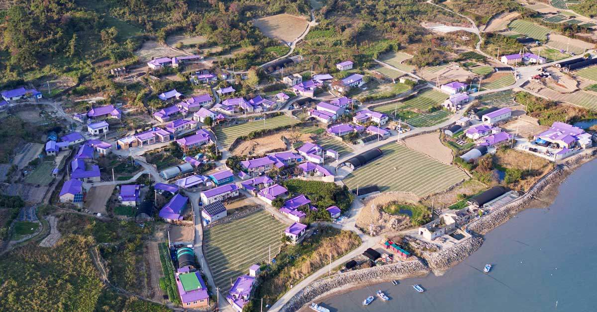 3. 신안퍼플섬.jpg