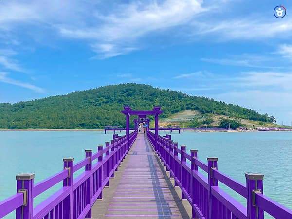 3-1. 신안퍼플섬.jpg