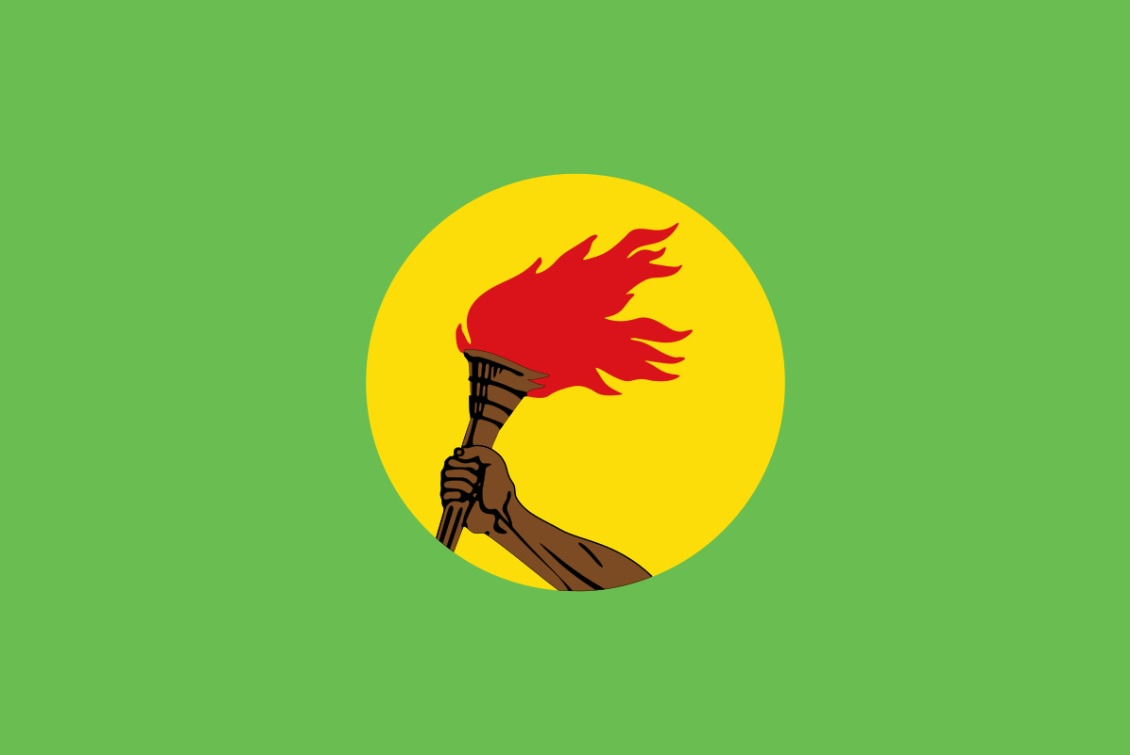 1-1. 자이르 국기.jpg