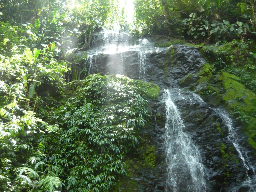 4. 브라운스버그 자연공원.jpg