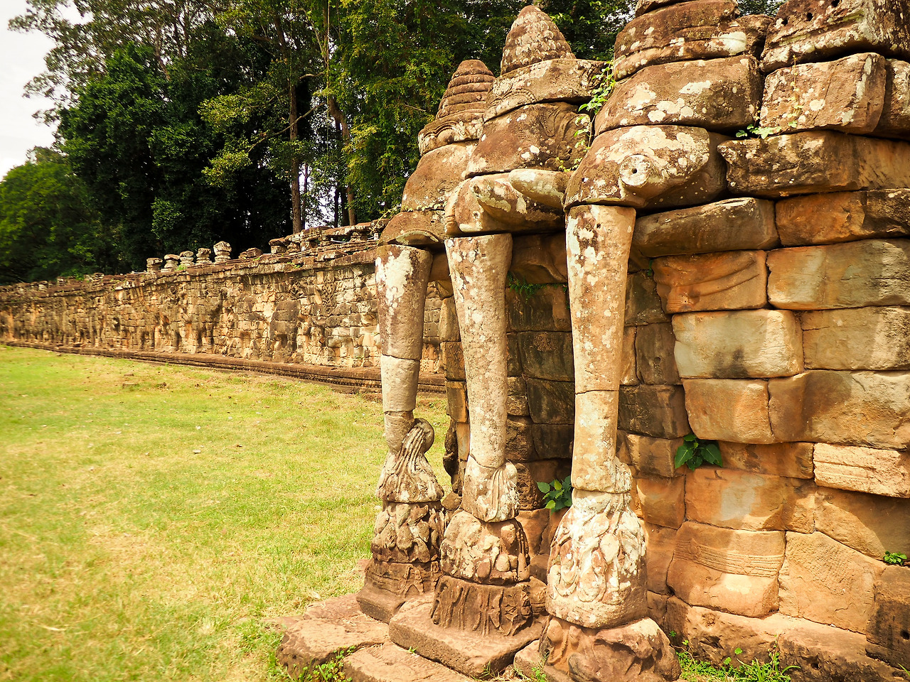 2. 코끼리 테라스 ⓒ 박동희.jpg