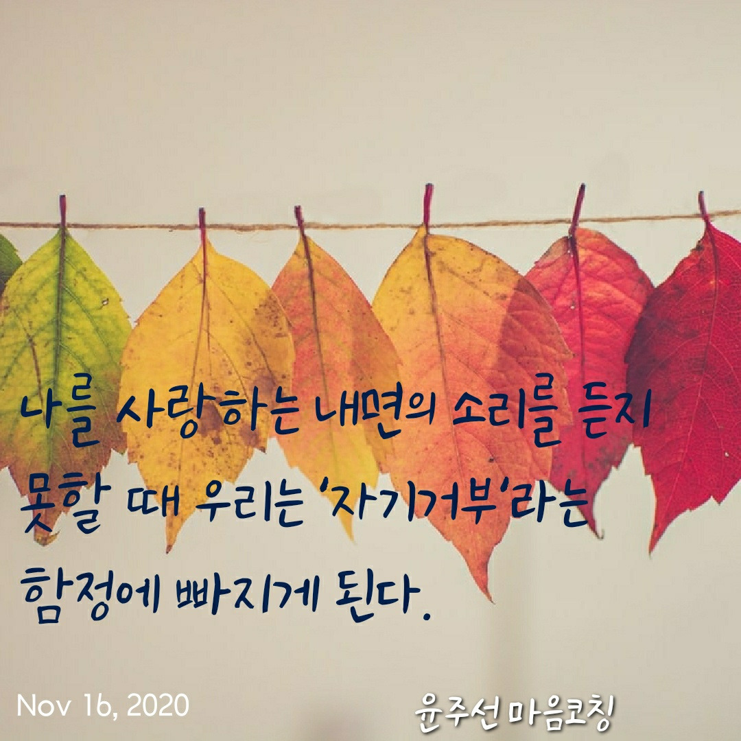 KakaoTalk_20201116_063729428.jpg